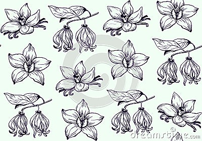 Ink flowers pattern hand drawn vector Vector Illustration