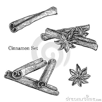 Ink hand drawn cinnamon set Vector Illustration