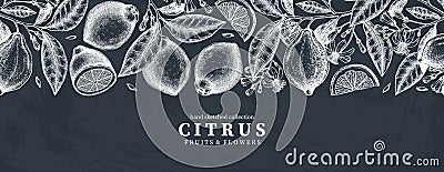 Ink hand drawn citrus fruits banner design on chalkboard. Vector lemons background with fruits, flowers, seeds, leaves sketches. Vector Illustration