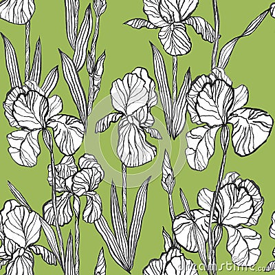 Ink hand drawn pattern with irises flowers on green background Cartoon Illustration