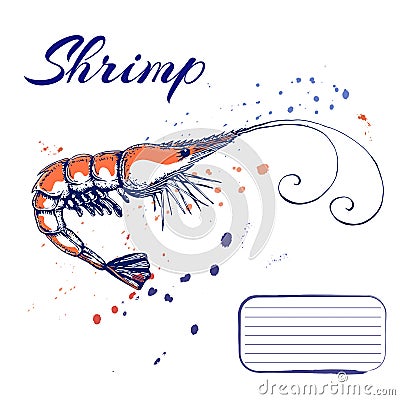 ink hand drawn shrimp or prawn concept for decoration or design. Ink spattered shrimp illustration. vector red king prawn drawn in Cartoon Illustration