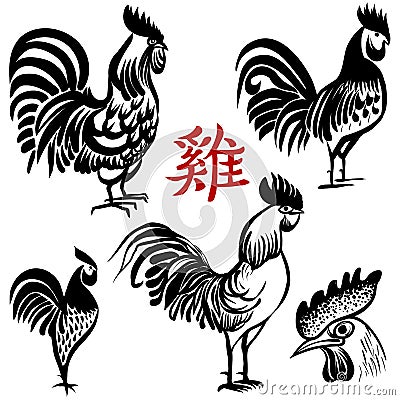 Ink hand drawn vector Rooster. Chinese brush painting. Chinese Translation: Rooster. Vector Illustration