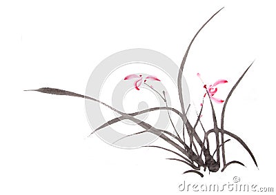 Ink orchid drawing Stock Photo