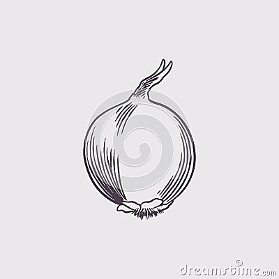 Ink sketch of onion isolated on white background. Hand drawn vintage retro sketch farmers vegetables. Vector illustration. Great Vector Illustration