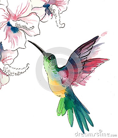 Humming bird and flowers Cartoon Illustration