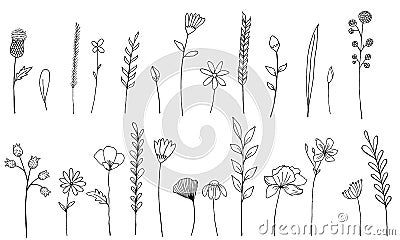 Ink wildflowers isolated elements. Hand drawn poppy, burdock, wheat, grass, wild rose, chamomile, cornflower, geranium Cartoon Illustration