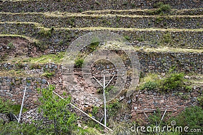 View at the agriculture Inca terraces used for plants farming, Archeological Park in Sacred Valley, Pisac near Cusco, Peru Stock Photo