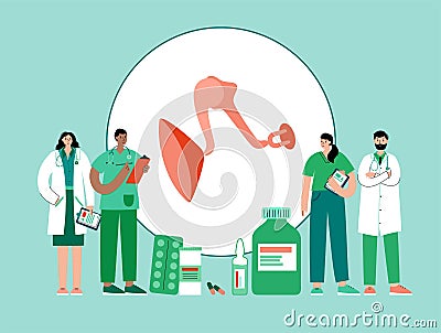 Inner ear anatomy Vector Illustration