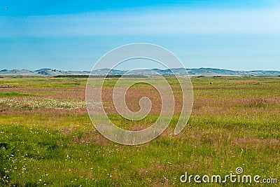 Site of Xanadu in Zhenglan Banner, Xilin Gol, Inner Mongolia, China. It was the summer capital of the Yuan dynasty. Stock Photo