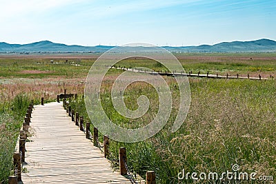 Site of Xanadu in Zhenglan Banner, Xilin Gol, Inner Mongolia, China. It was the summer capital of the Yuan dynasty. Stock Photo