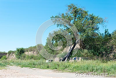 Site of Xanadu in Zhenglan Banner, Xilin Gol, Inner Mongolia, China. It was the summer capital of the Yuan dynasty. Stock Photo