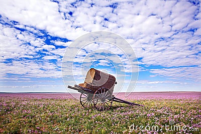 Inner mongolia grassland Stock Photo