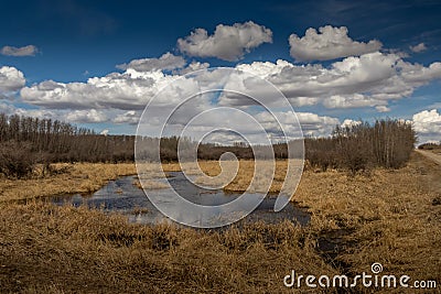 Innisfail Natural Area. Red Deer County, Alberta, Canada Stock Photo