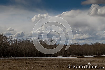 Innisfail Natural Area. Red Deer County, Alberta, Canada Stock Photo