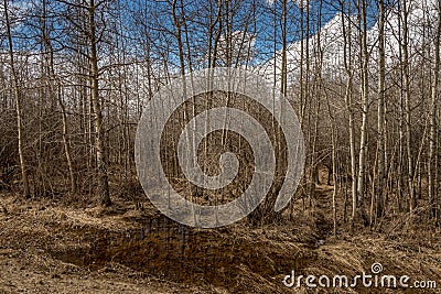 Innisfail Natural Area. Red Deer County, Alberta, Canada Stock Photo