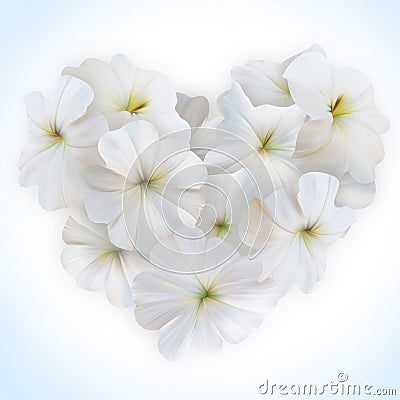 Innocence White Petunia Heart for Valentine day. Love symbol in Stock Photo