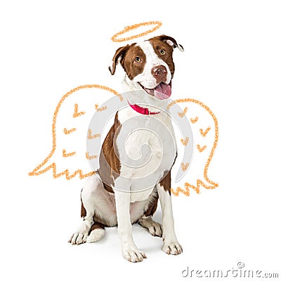 Innocent Dog With Drawn Angel Wings Stock Photo