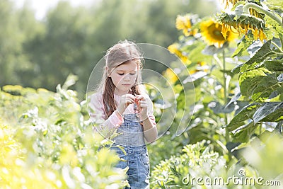 Innocent girl standing by sunflower plants at farm Stock Photo