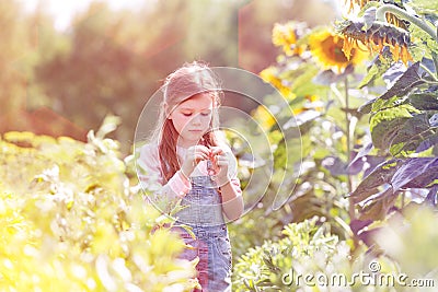 Innocent girl standing by sunflower plants Stock Photo