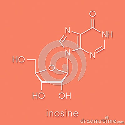 Inosine nucleoside molecule. Found in tRNA. Used as fitness nutritional supplement. Skeletal formula. Stock Photo