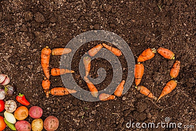 Inscription ECO on the background of fresh earth and a group of young vegetables Stock Photo