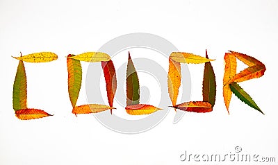 Inscription leaves autumn color word full white Stock Photo