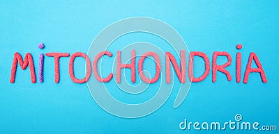 Inscription mitochondria with red plasticine on a blue background, organella, medical Stock Photo