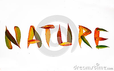 Inscription nature leaves autumn color word full Stock Photo