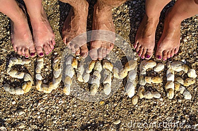 The inscription SUMMER laid out of shells on the sand Stock Photo