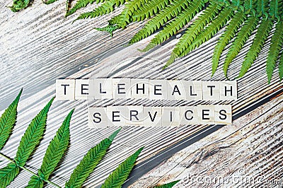 Inscription telehealth services is made of small wooden blocks printed on a wooden background with a green fresh leaf of greenery Stock Photo