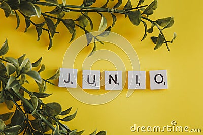 The inscription verano in spanish on the letters of the keyboard on a yellow background with branches flowers Stock Photo