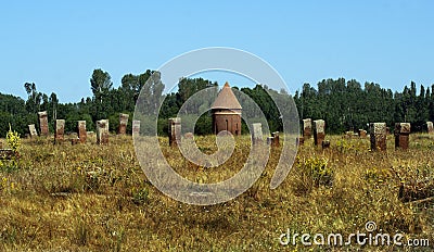 The view of the sarcophagi with various inscriptions covering the whole land under a bright sky Stock Photo