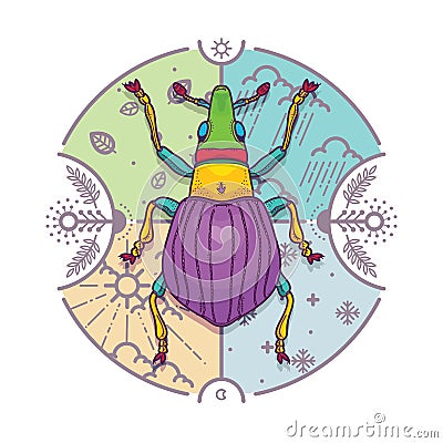 Insect Beetle Bug Design Elements with Line Graphic Vector Illustration