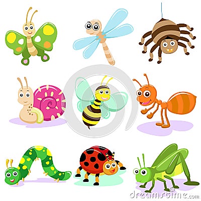 Insect cartoon Vector Illustration