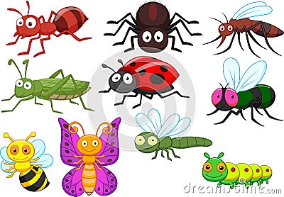 Insect cartoon collection set Vector Illustration