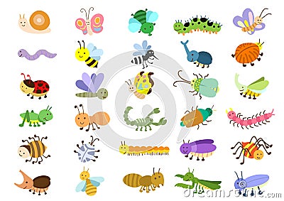 Insect Vector Illustration