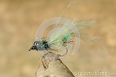 Insect fishing bait Stock Photo