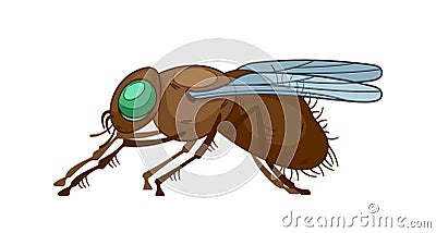 Insect Fly Side View Pose. Vector Agile Aerial Creature With Multifaceted Eyes And Delicate Wings, Pollinator, Predator Vector Illustration