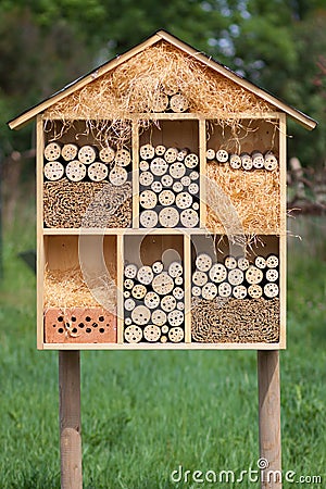 Insect Hotel Stock Photo
