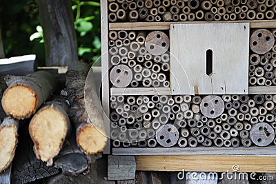 An insect hotel for bees, wasps and other insects made of wood Stock Photo