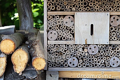 An insect hotel for bees, wasps and other insects made of wood Stock Photo