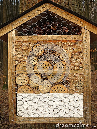 Insect hotel in forest Stock Photo