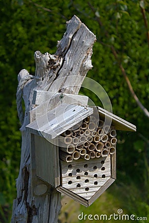 Insect house Stock Photo