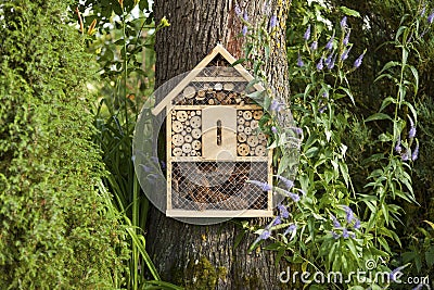 Insect house Stock Photo