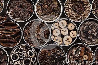 Insect house -hotel, made of used coffee cans Stock Photo