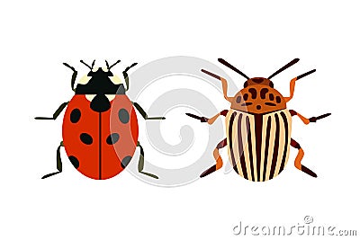 Insect icon flat isolated nature flying bugs beetle ant and wildlife spider grasshopper or mosquito cockroach animal Vector Illustration