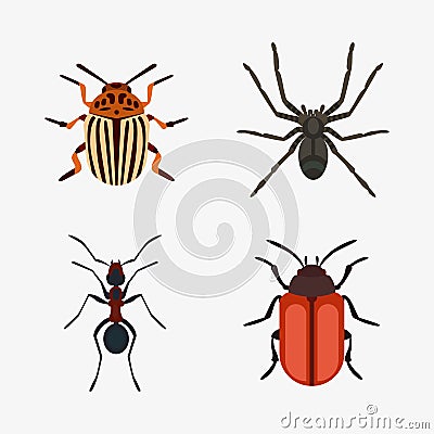 Insect icon flat isolated nature flying bugs beetle ant and wildlife spider grasshopper or mosquito cockroach animal Vector Illustration