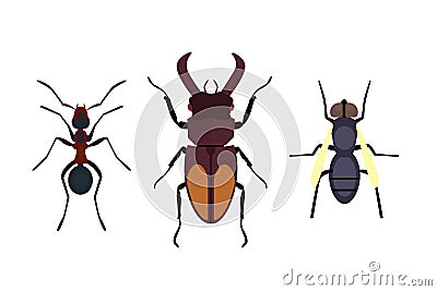 Insect icon flat isolated nature flying bugs beetle ant and wildlife spider grasshopper or mosquito cockroach animal Vector Illustration