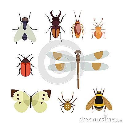 Insect icon flat isolated nature flying butterfly beetle ant and wildlife spider grasshopper or mosquito cockroach Vector Illustration