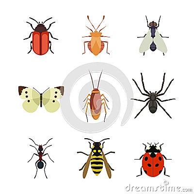 Insect icon flat isolated nature flying butterfly beetle ant and wildlife spider grasshopper or mosquito cockroach Vector Illustration